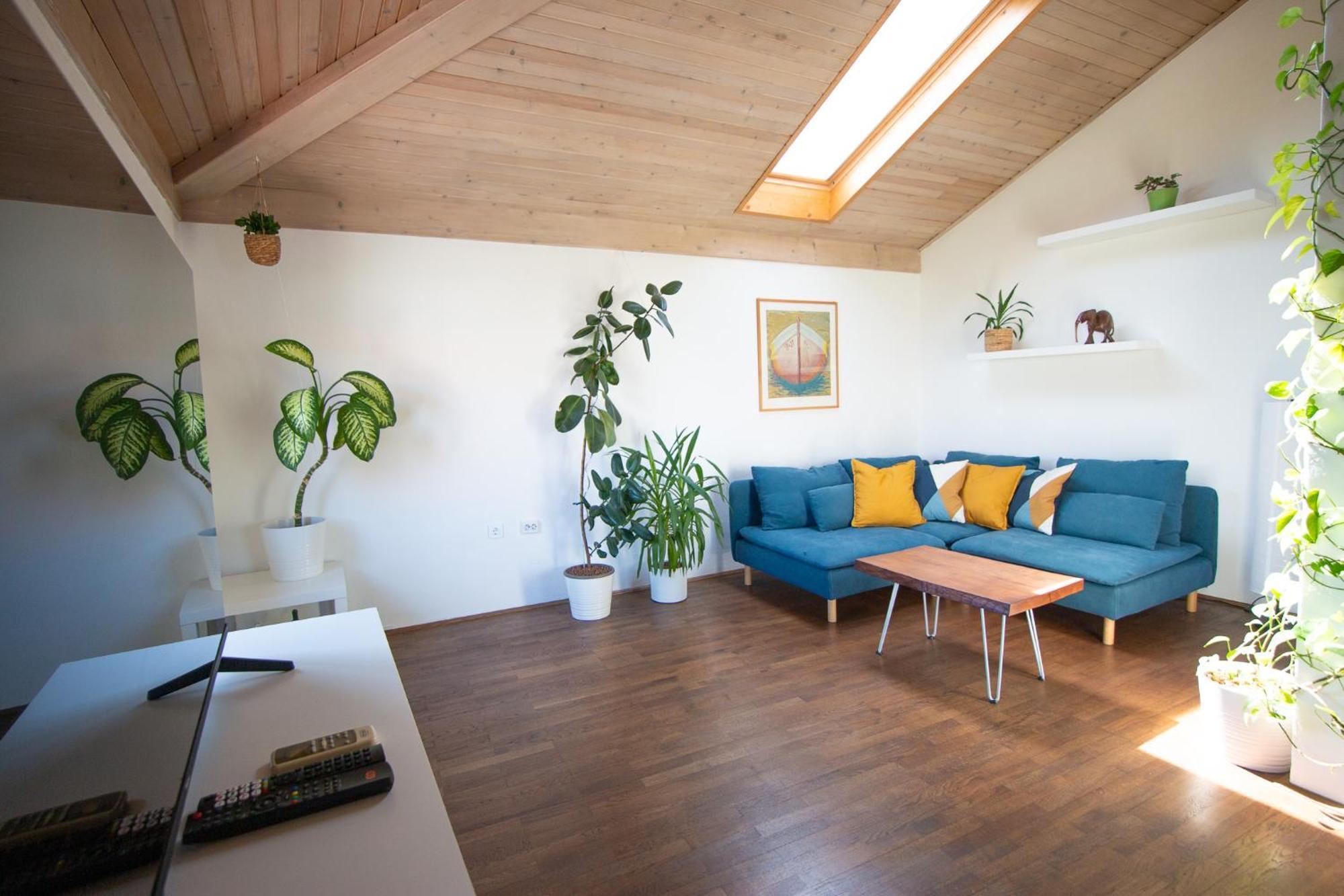 Bivalvia Apartments Koper Eksteriør bilde